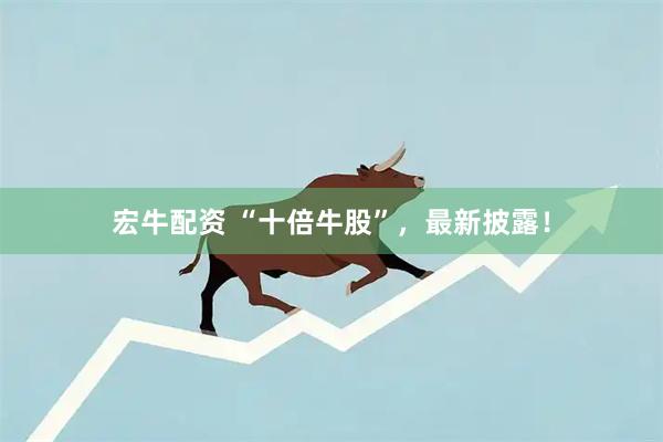 宏牛配资 “十倍牛股”，最新披露！