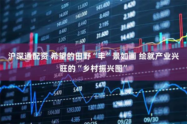 沪深通配资 希望的田野“丰”景如画 绘就产业兴旺的“乡村振兴图”